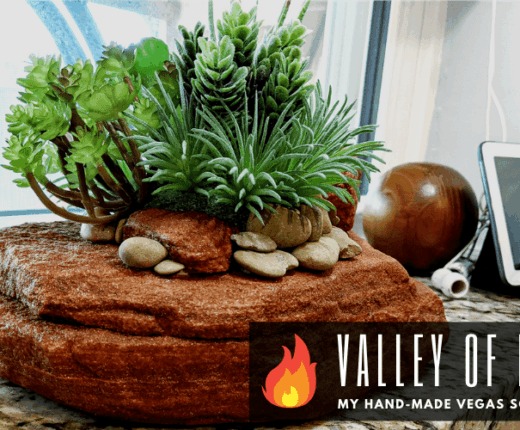 Craft Time Valley Of Fire Succulent Display