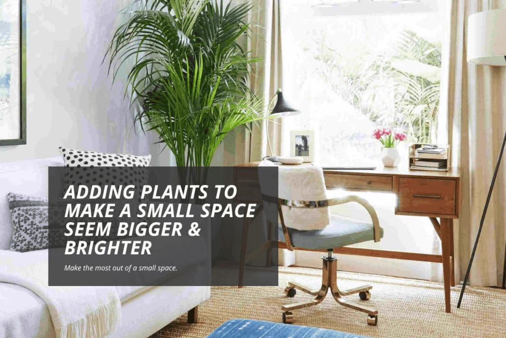 Adding plants to make a small space seem bigger & brighter - Stitched ...