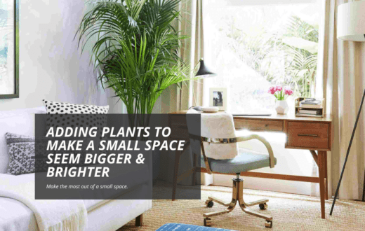 Adding plants to make a small space seem bigger brighter 1