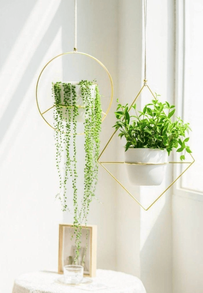 Adding plants to make a small space seem bigger & brighter