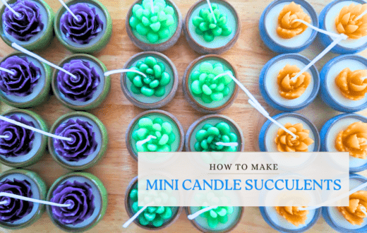 How To Make mini candle succulents
