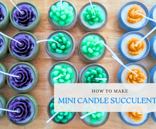 How to make Mini Succulent Candles 22 How To Make mini candle succulents