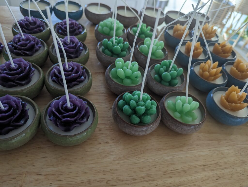 Mini-Succulent-Candles-using-Pillar-Wax-in-Small-ceramic-Jars-on-table