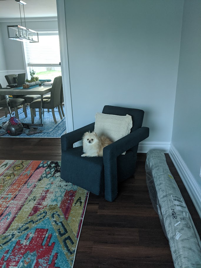 Living Room Corner with Small Chair and Dog