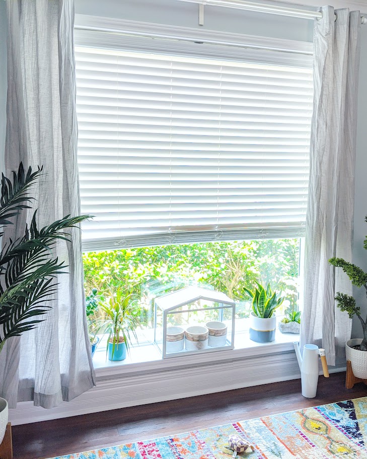 Living Room Pciture Window Shelf with Plants