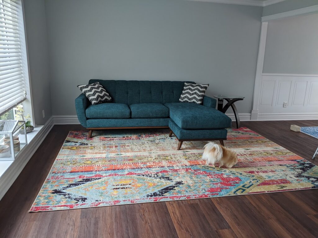 Living Room Walls Complete with Carpet and Couch picked out